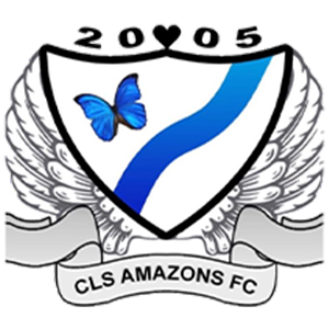Chester-le-Street Amazons Womens
