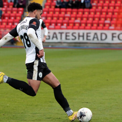 Gateshead 6-0 Dorking Wanderers
